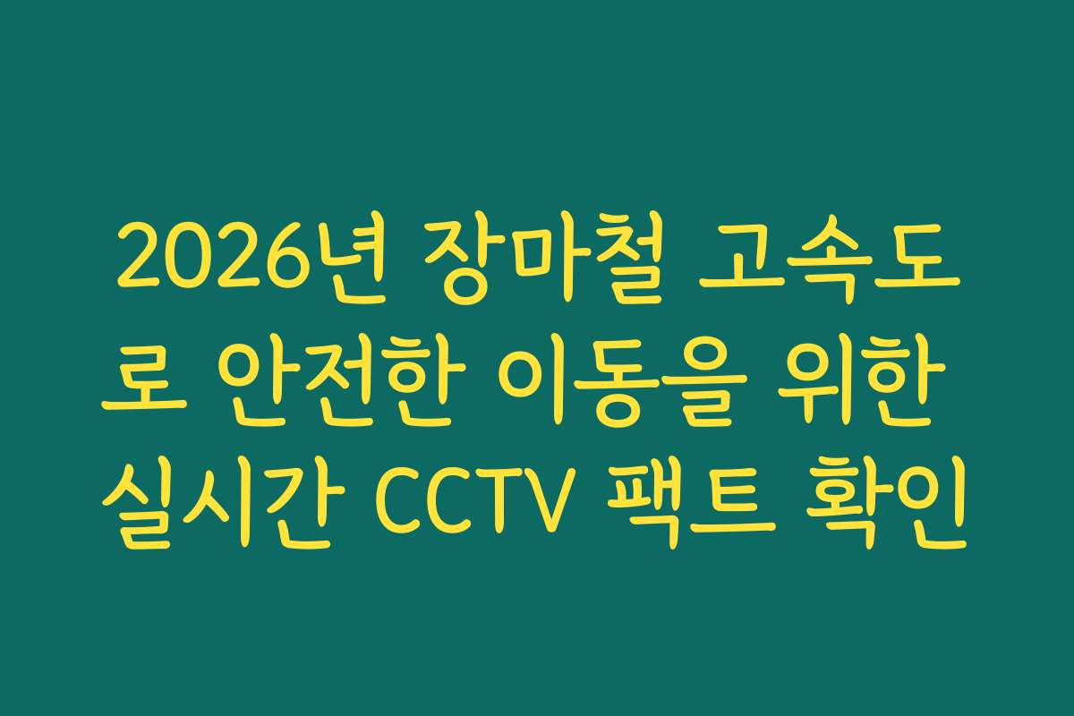 2026년 장마철 고속도로 안전한 이동을 위한 실시간 CCTV 팩트 확인