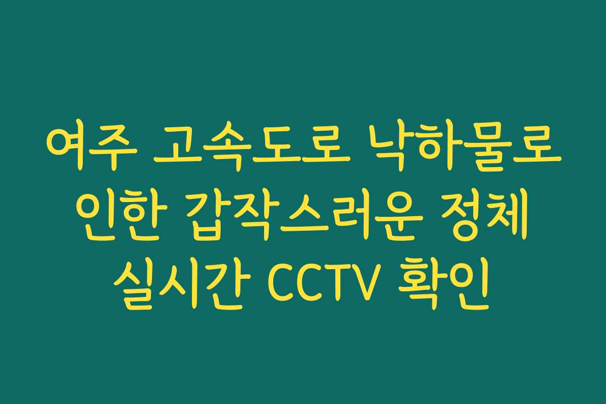 여주 고속도로 낙하물로 인한 갑작스러운 정체 실시간 CCTV 확인