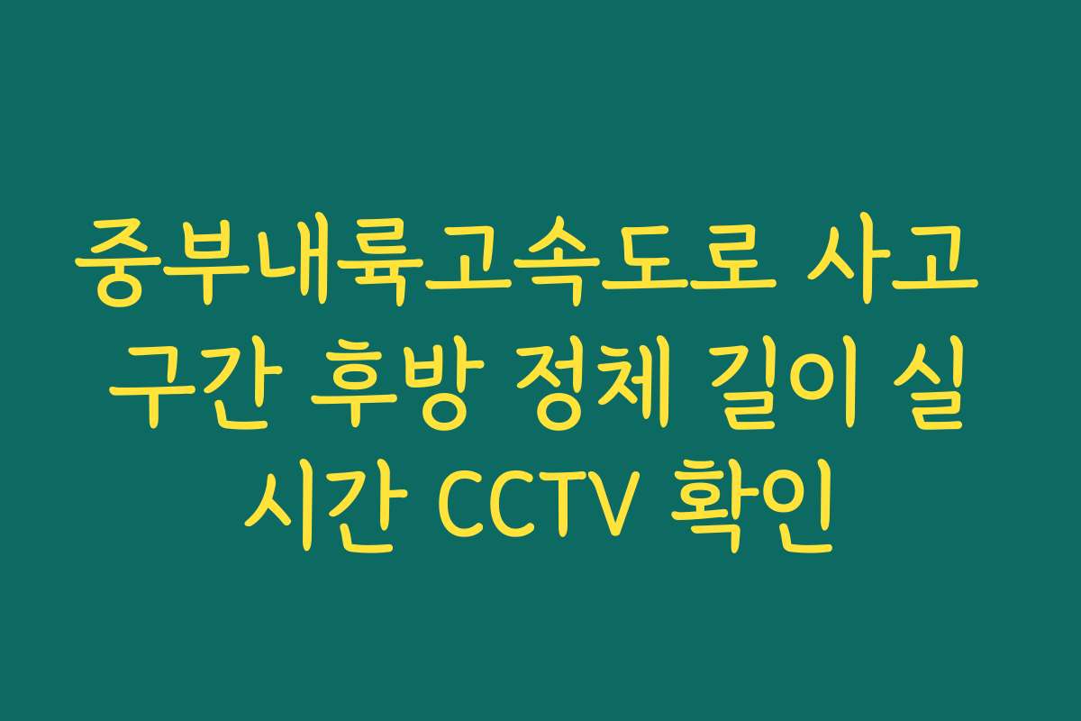 중부내륙고속도로 사고 구간 후방 정체 길이 실시간 CCTV 확인