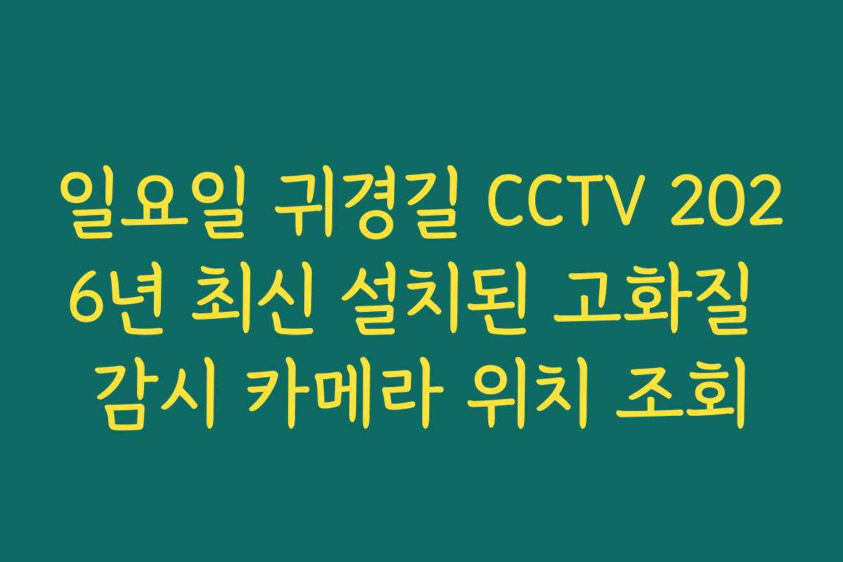 일요일 귀경길 CCTV 2026년 최신 설치된 고화질 감시 카메라 위치 조회