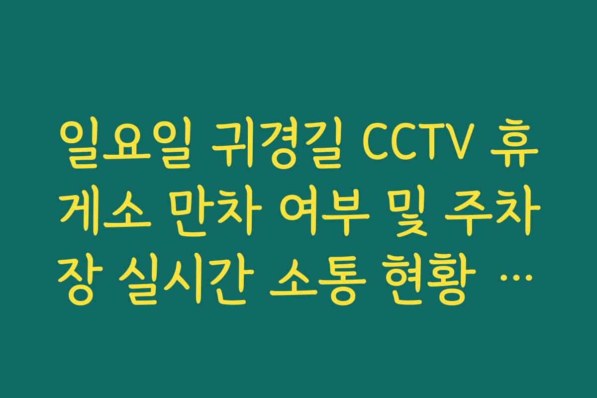 일요일 귀경길 CCTV 휴게소 만차 여부 및 주차장 실시간 소통 현황 보기