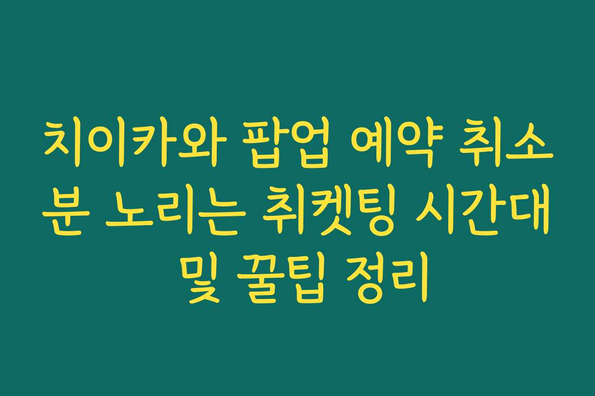 치이카와 팝업 예약 취소분 노리는 취켓팅 시간대 및 꿀팁 정리