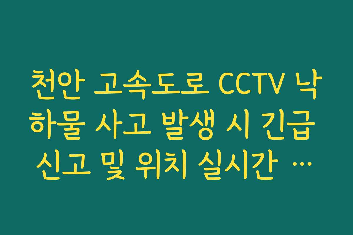 천안 고속도로 CCTV 낙하물 사고 발생 시 긴급 신고 및 위치 실시간 파악