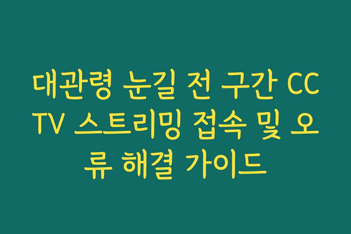 대관령 눈길 전 구간 CCTV 스트리밍 접속 및 오류 해결 가이드