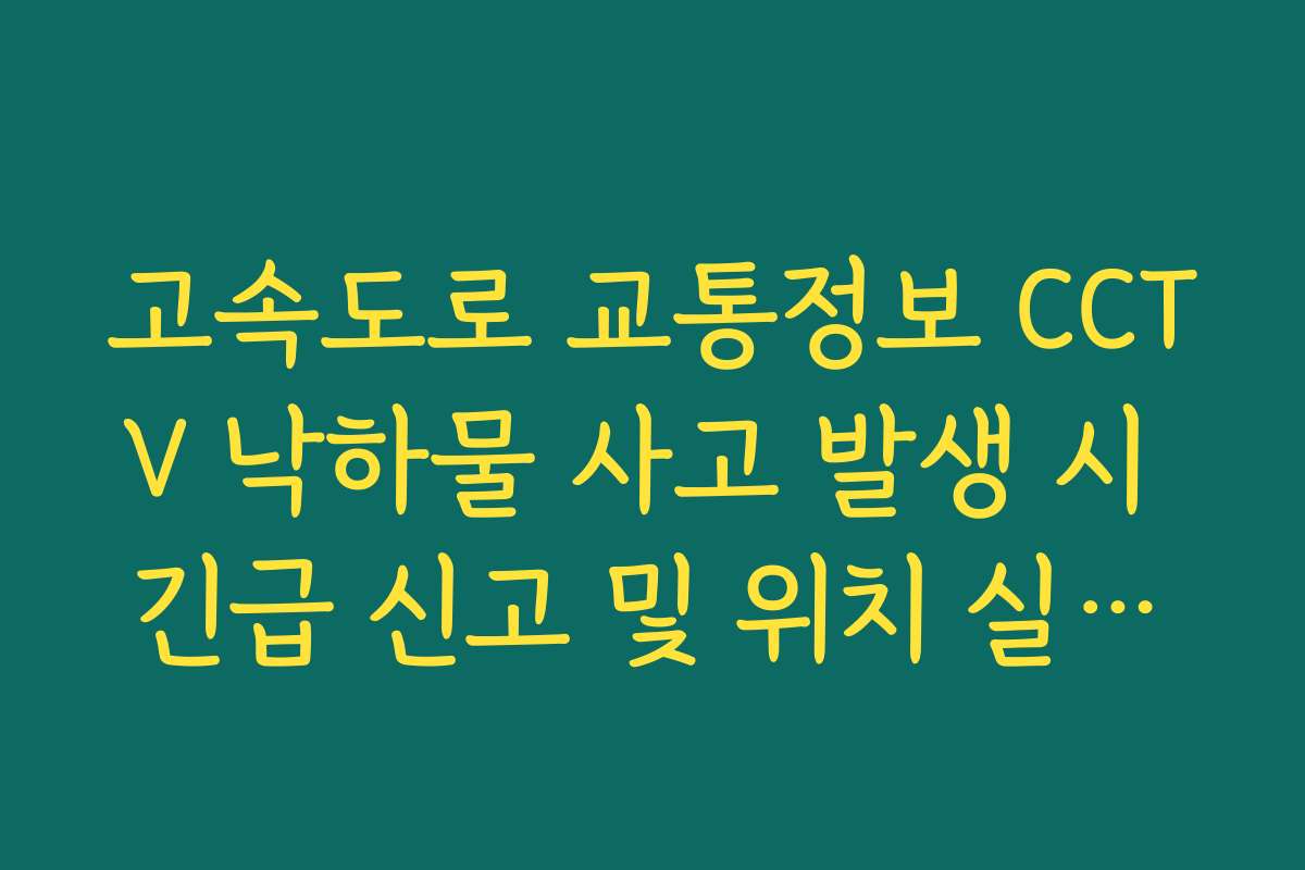 고속도로 교통정보 CCTV 낙하물 사고 발생 시 긴급 신고 및 위치 실시간 파악