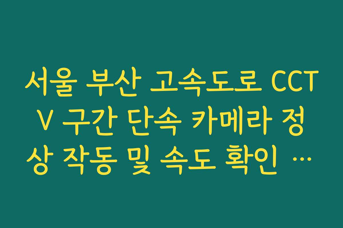 서울 부산 고속도로 CCTV 구간 단속 카메라 정상 작동 및 속도 확인 방법