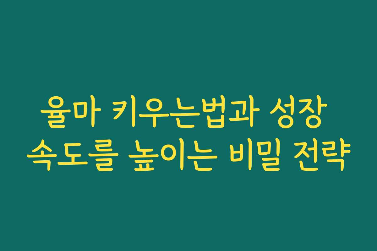 율마 키우는법과 성장 속도를 높이는 비밀 전략