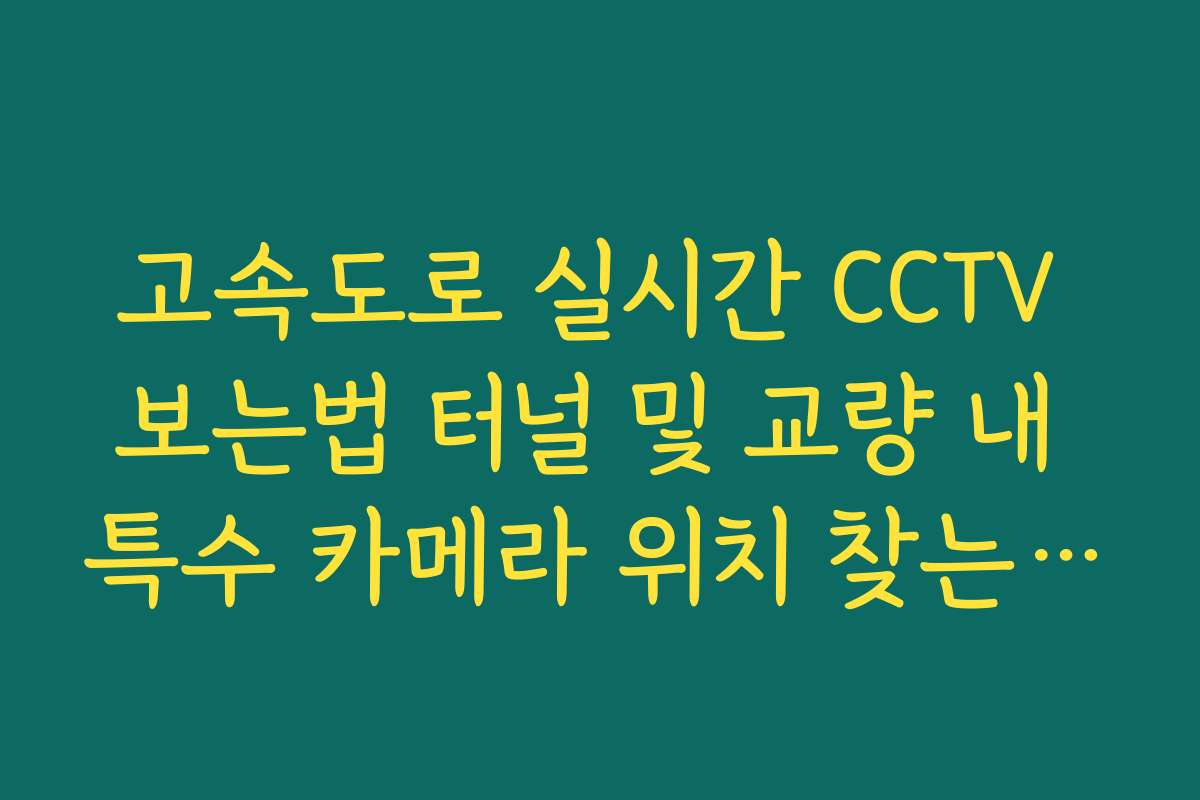 고속도로 실시간 CCTV 보는법 터널 및 교량 내 특수 카메라 위치 찾는 법