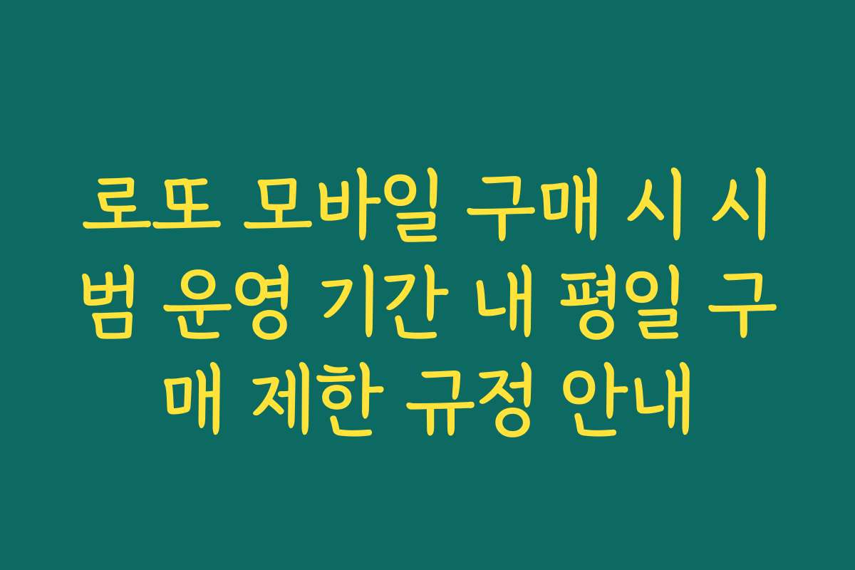 로또 모바일 구매 시 시범 운영 기간 내 평일 구매 제한 규정 안내