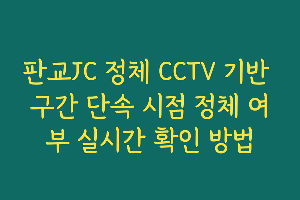 판교JC 정체 CCTV 기반 구간 단속 시점 정체 여부 실시간 확인 방법