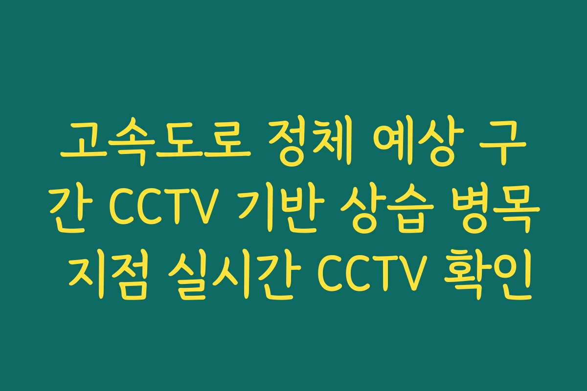 고속도로 정체 예상 구간 CCTV 기반 상습 병목 지점 실시간 CCTV 확인