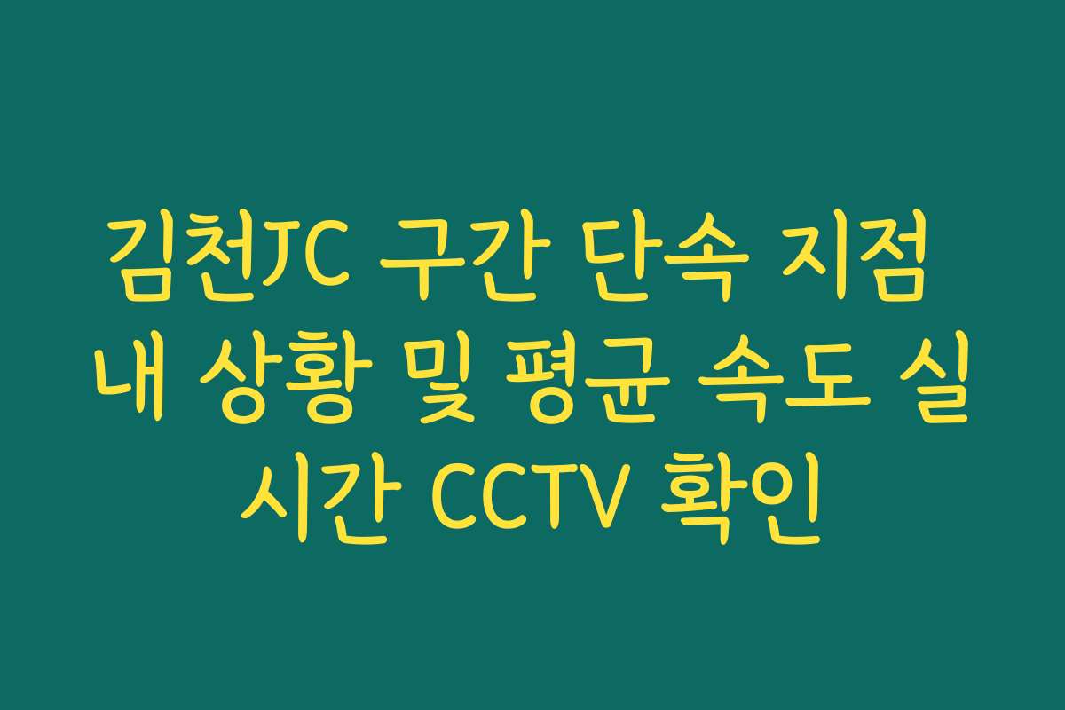 김천JC 구간 단속 지점 내 상황 및 평균 속도 실시간 CCTV 확인
