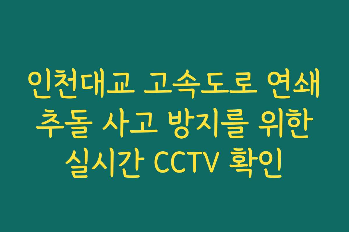 인천대교 고속도로 연쇄 추돌 사고 방지를 위한 실시간 CCTV 확인