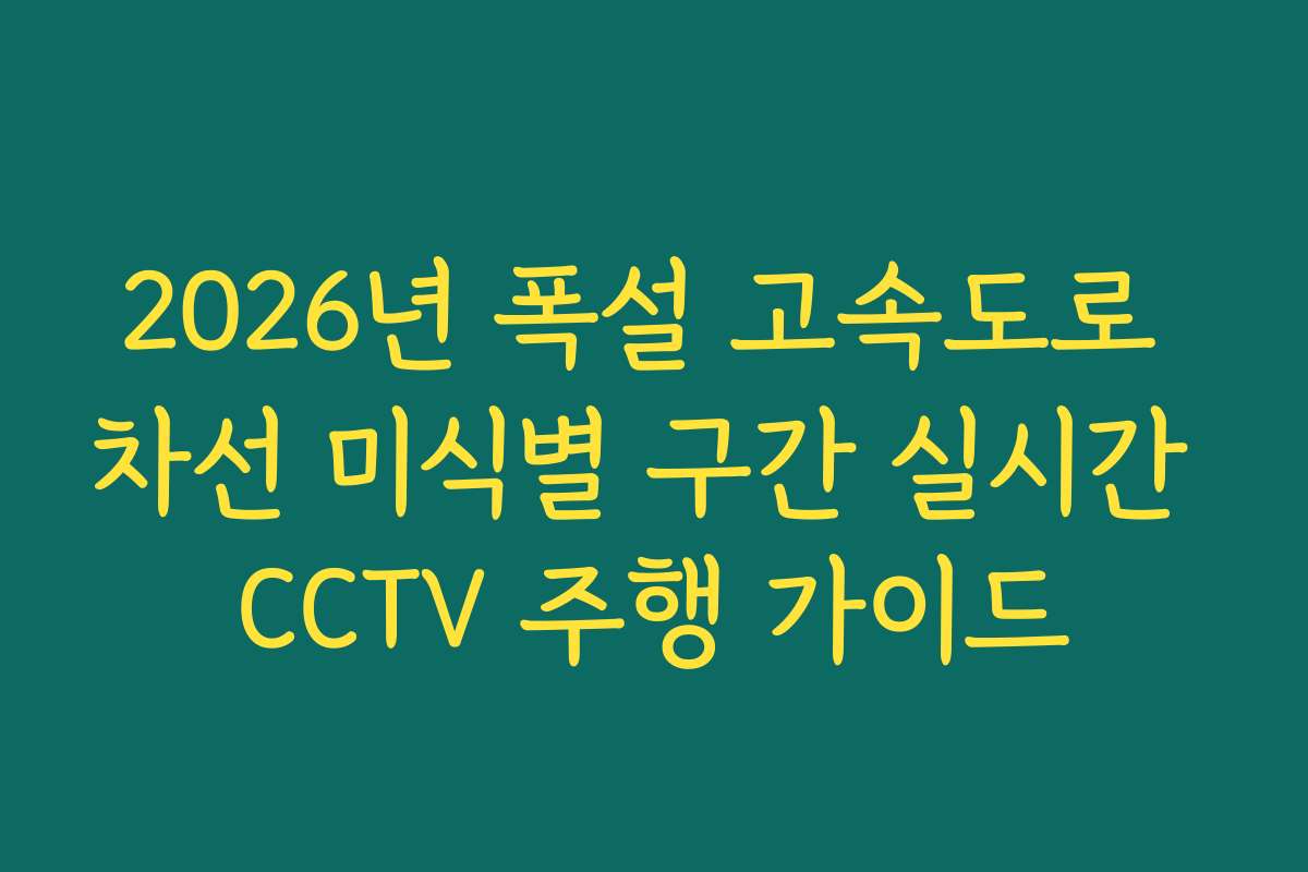 2026년 폭설 고속도로 차선 미식별 구간 실시간 CCTV 주행 가이드