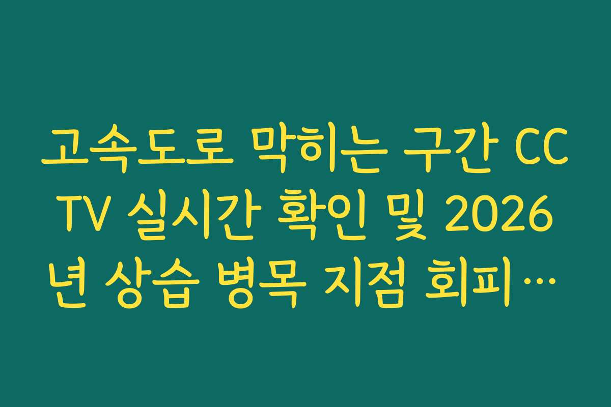 고속도로 막히는 구간 CCTV 실시간 확인 및 2026년 상습 병목 지점 회피 방법