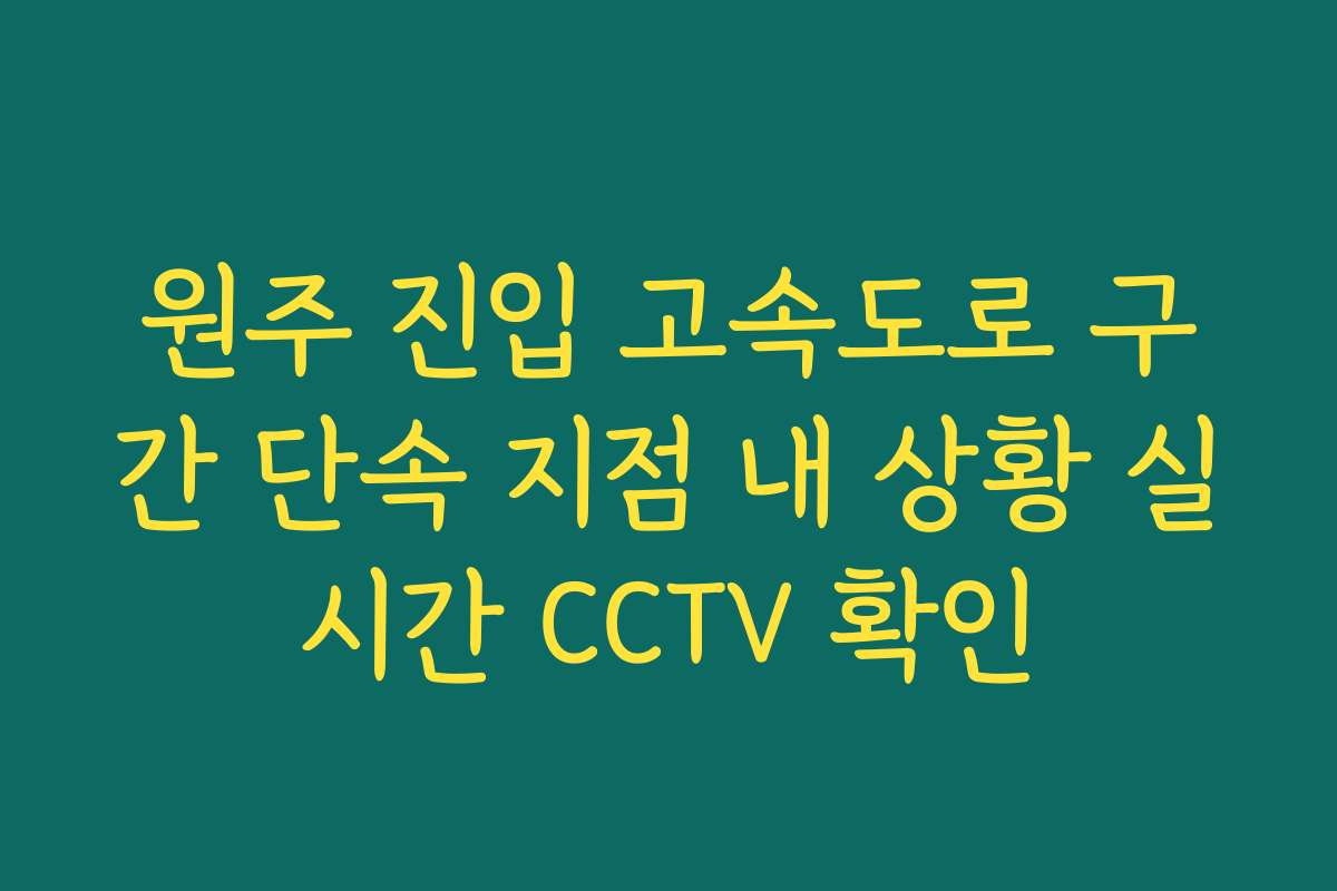 원주 진입 고속도로 구간 단속 지점 내 상황 실시간 CCTV 확인