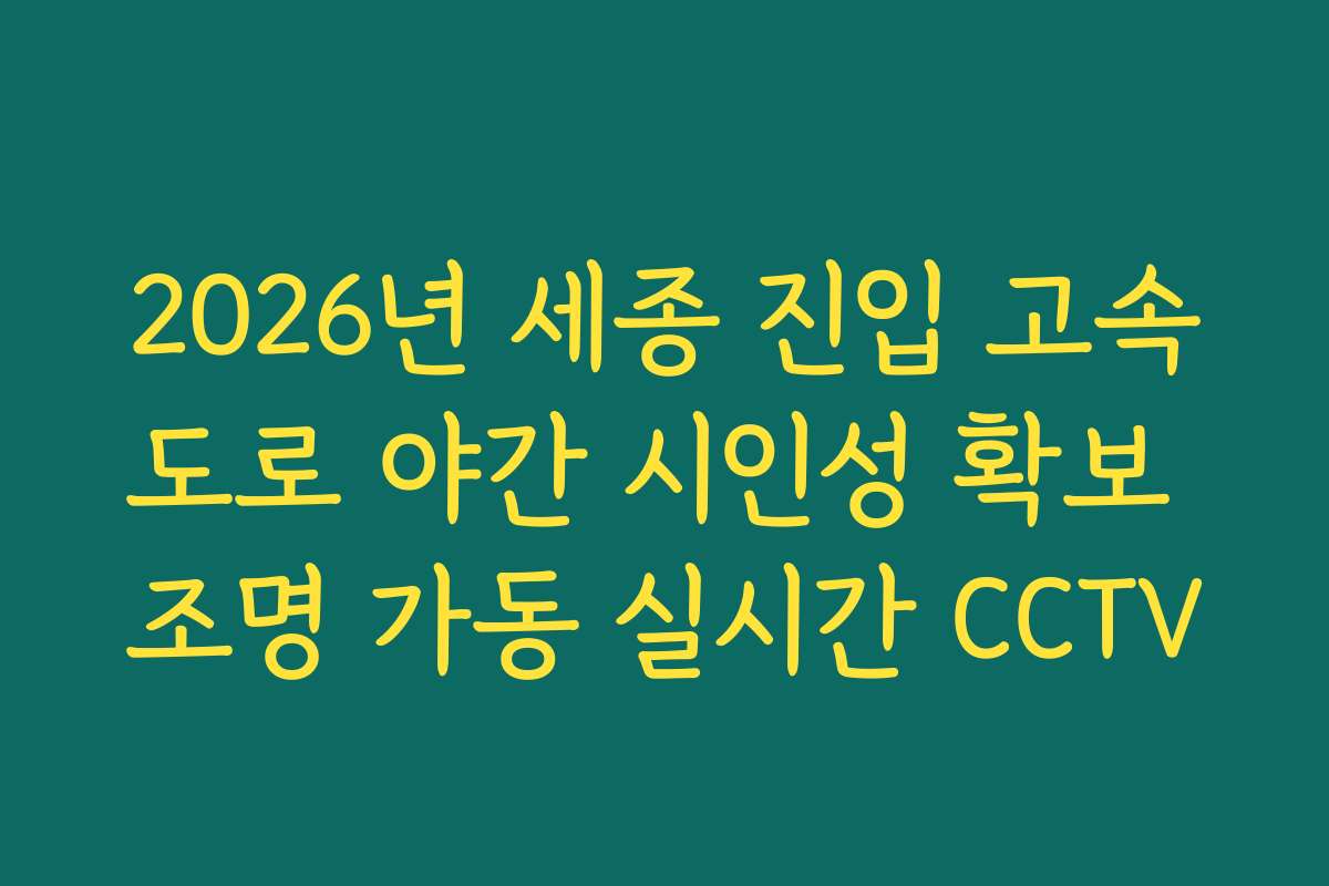 2026년 세종 진입 고속도로 야간 시인성 확보 조명 가동 실시간 CCTV