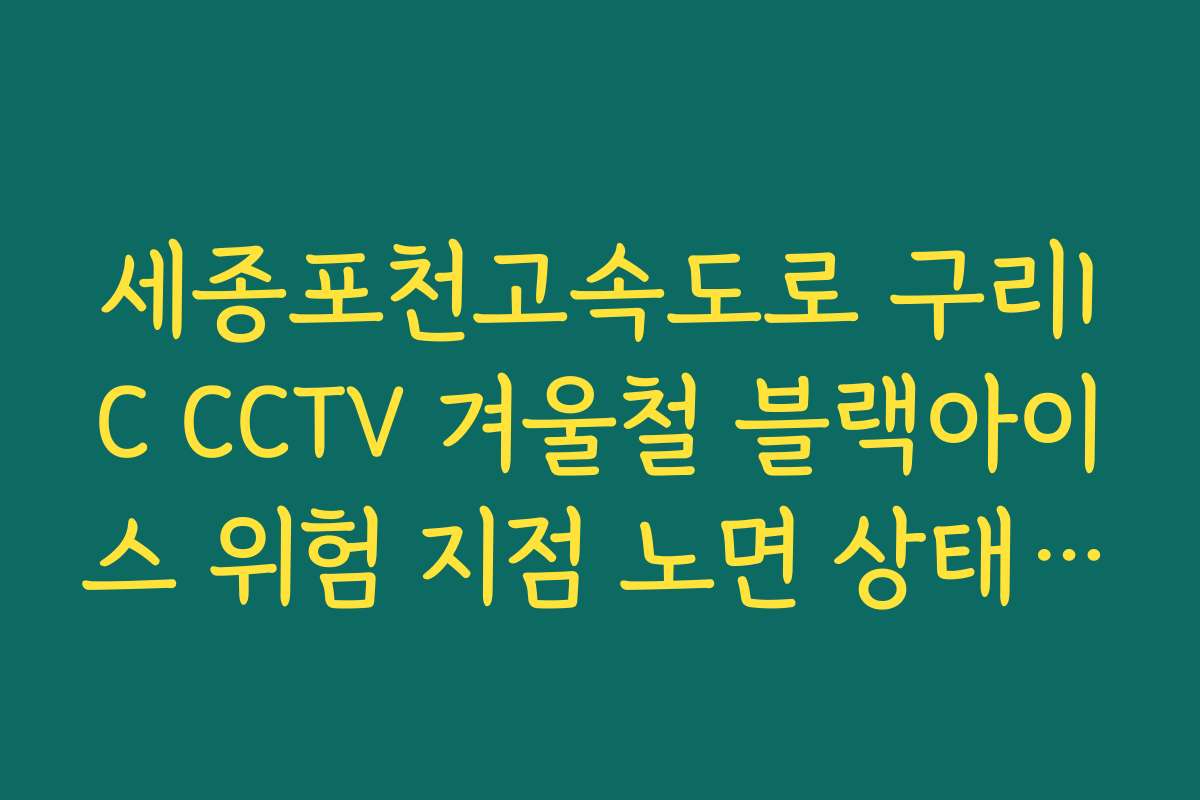 세종포천고속도로 구리IC CCTV 겨울철 블랙아이스 위험 지점 노면 상태 체크