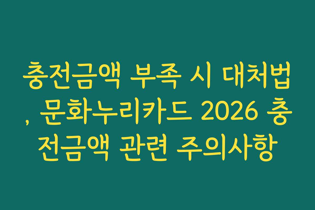 충전금액 부족 시 대처법, 문화누리카드 2026 충전금액 관련 주의사항