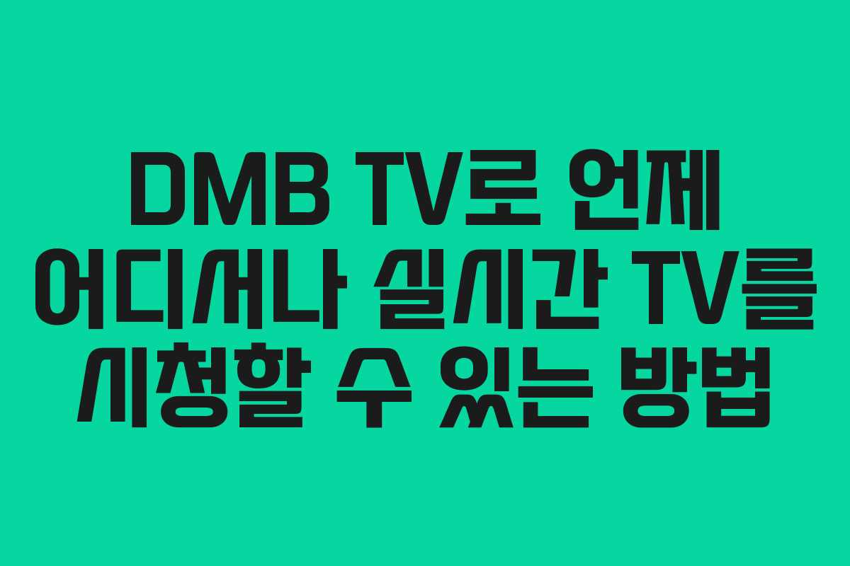 DMB TV로 언제 어디서나 실시간 TV를 시청할 수 있는 방법