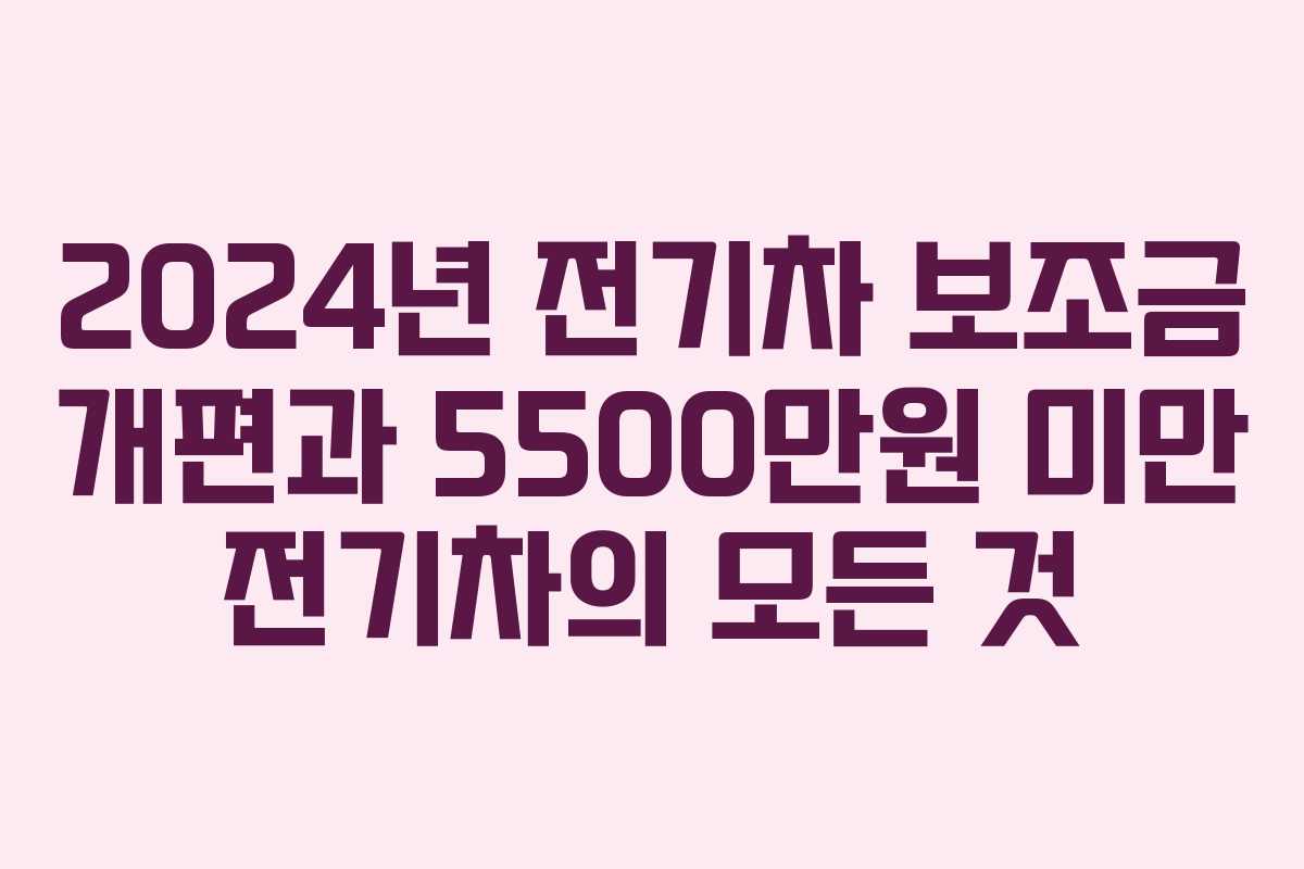 2024년 전기차 보조금 개편과 5500만원 미만 전기차의 모든 것