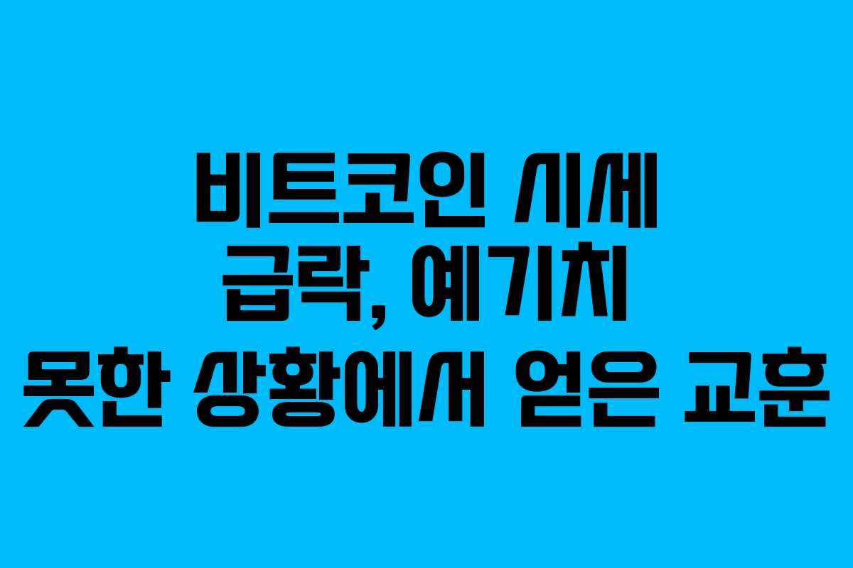 비트코인 시세 급락, 예기치 못한 상황에서 얻은 교훈