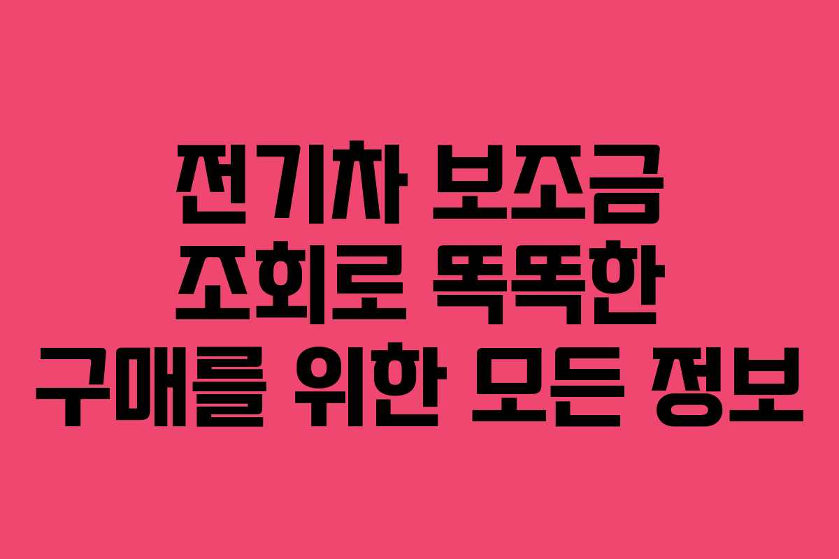 전기차 보조금 조회로 똑똑한 구매를 위한 모든 정보