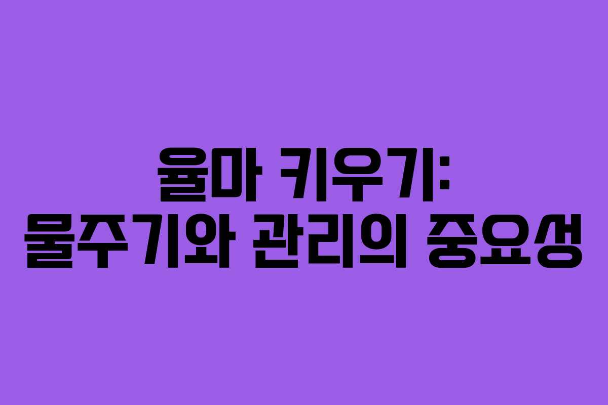 율마 키우기: 물주기와 관리의 중요성