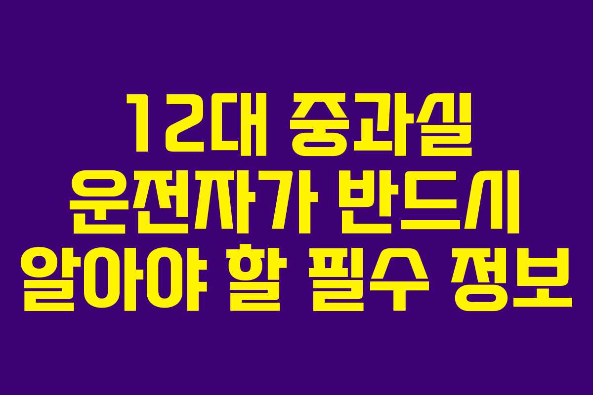 12대 중과실 운전자가 반드시 알아야 할 필수 정보