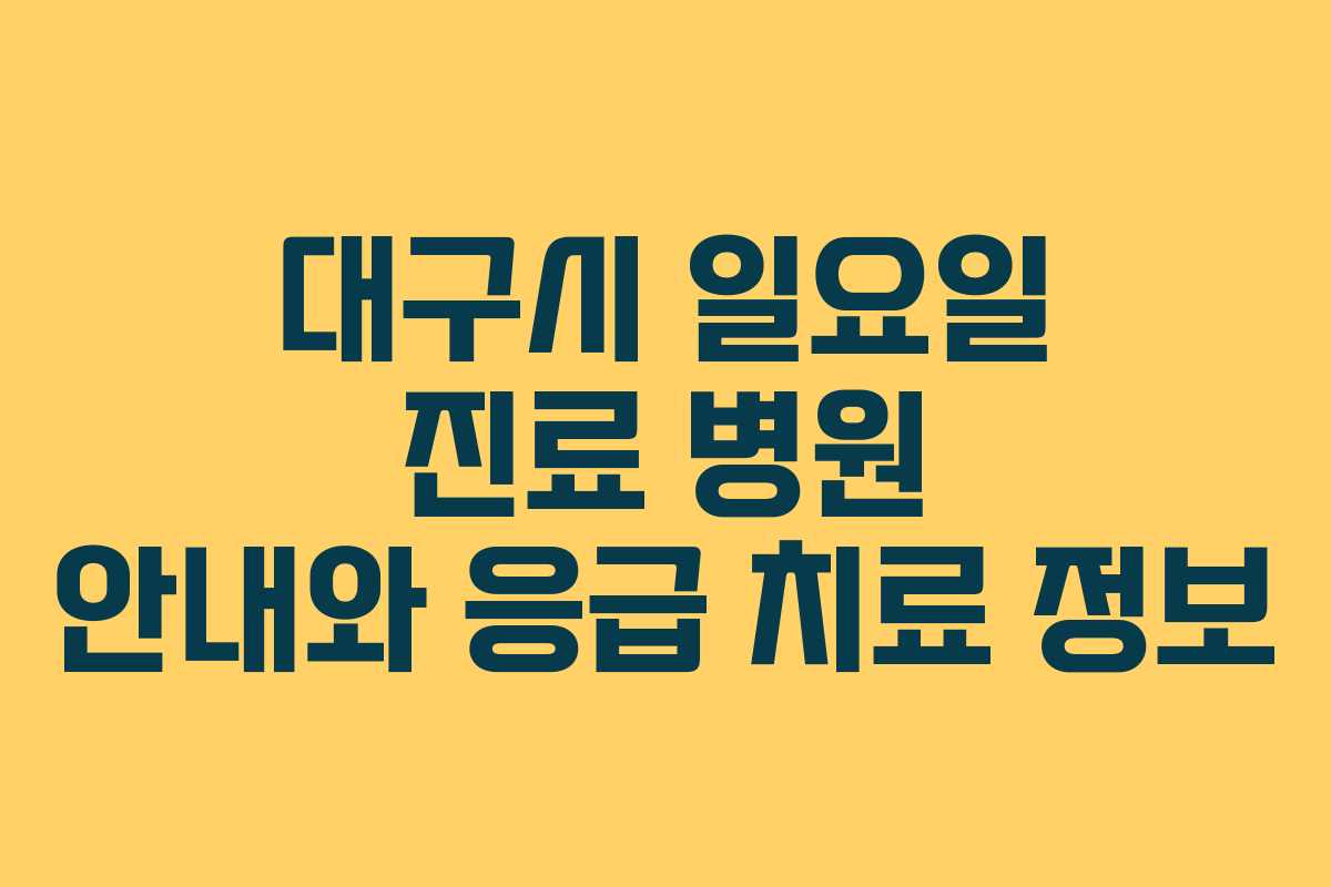 대구시 일요일 진료 병원 안내와 응급 치료 정보