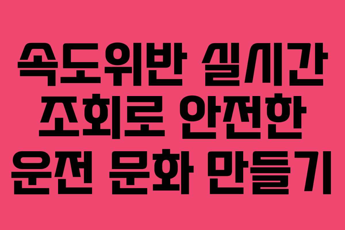 속도위반 실시간 조회로 안전한 운전 문화 만들기