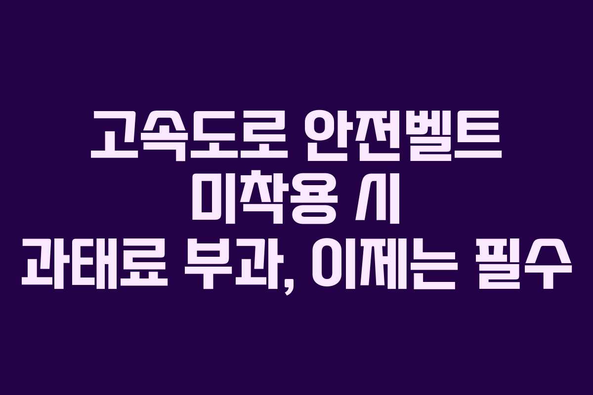 고속도로 안전벨트 미착용 시 과태료 부과, 이제는 필수