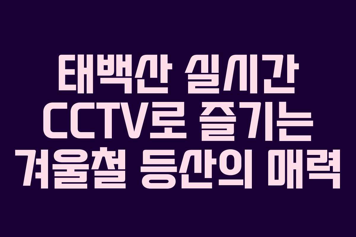태백산 실시간 CCTV로 즐기는 겨울철 등산의 매력