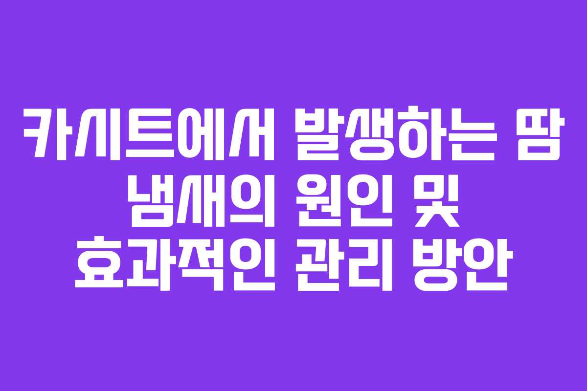카시트에서 발생하는 땀 냄새의 원인 및 효과적인 관리 방안