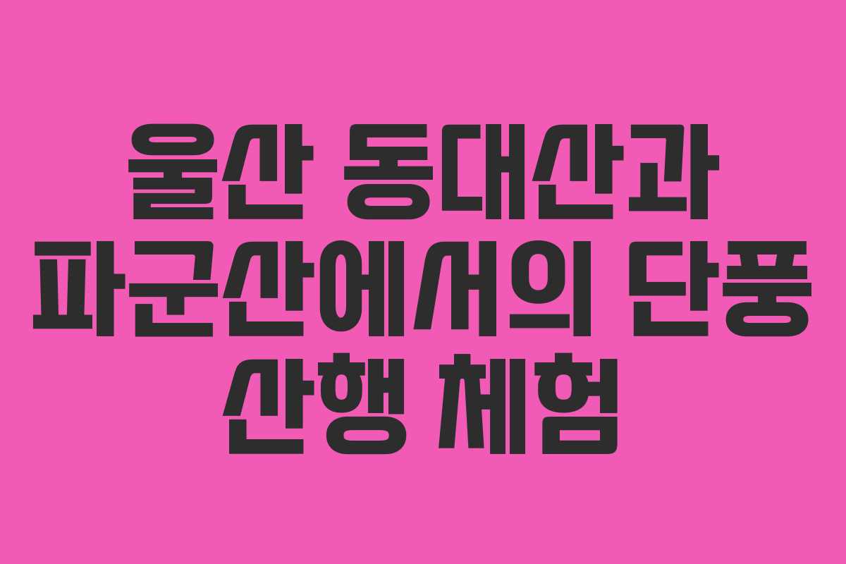 울산 동대산과 파군산에서의 단풍 산행 체험