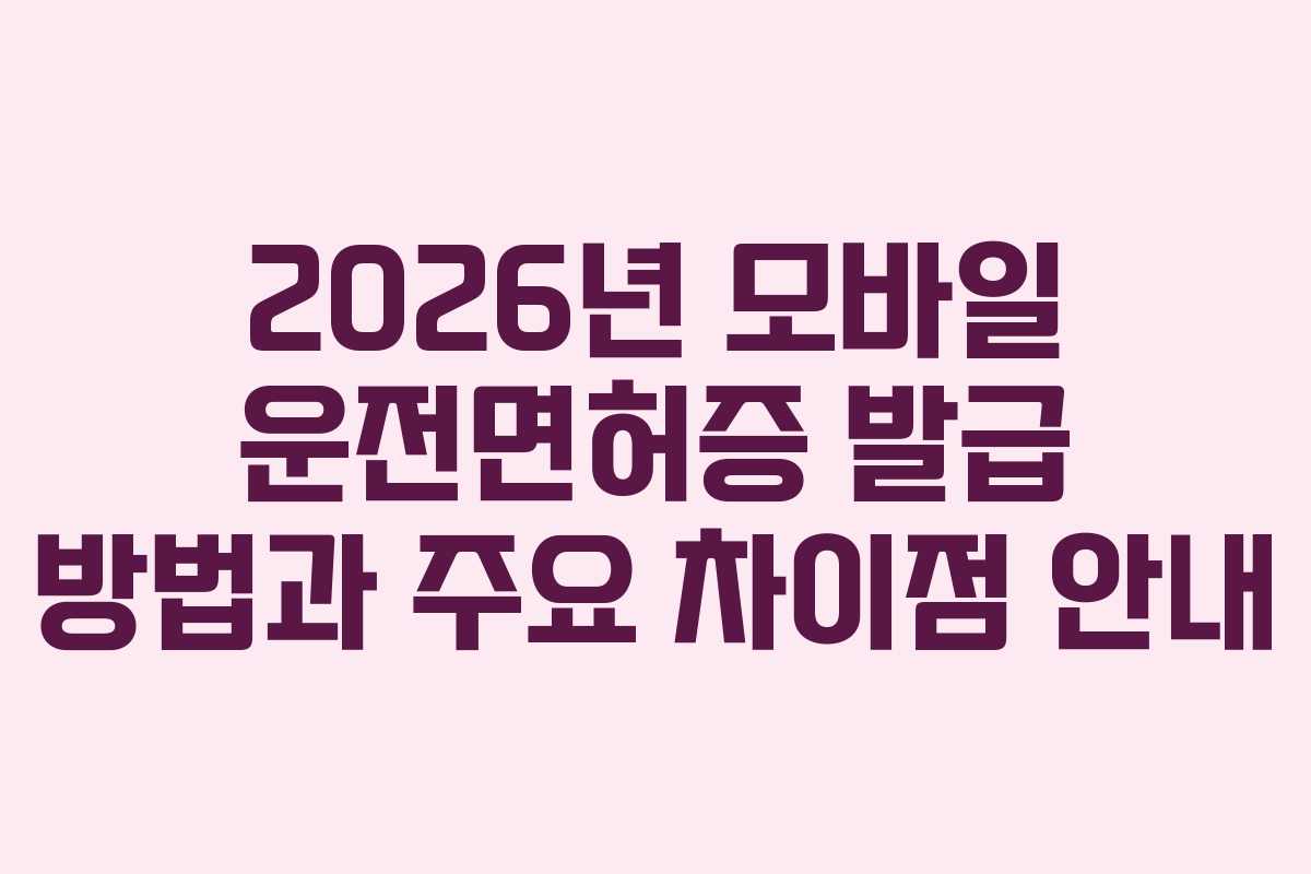 2026년 모바일 운전면허증 발급 방법과 주요 차이점 안내