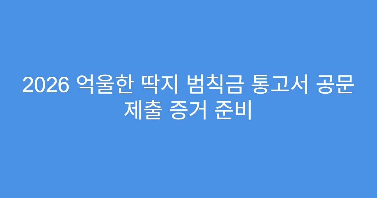 2026 억울한 딱지 범칙금 통고서 공문 제출 증거 준비