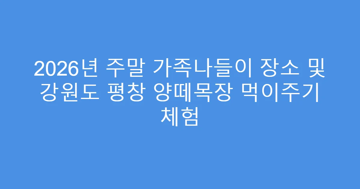 2026년 주말 가족나들이 장소 및 강원도 평창 양떼목장 먹이주기 체험