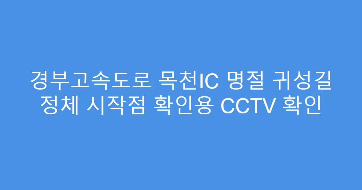 경부고속도로 목천IC 명절 귀성길 정체 시작점 확인용 CCTV 확인