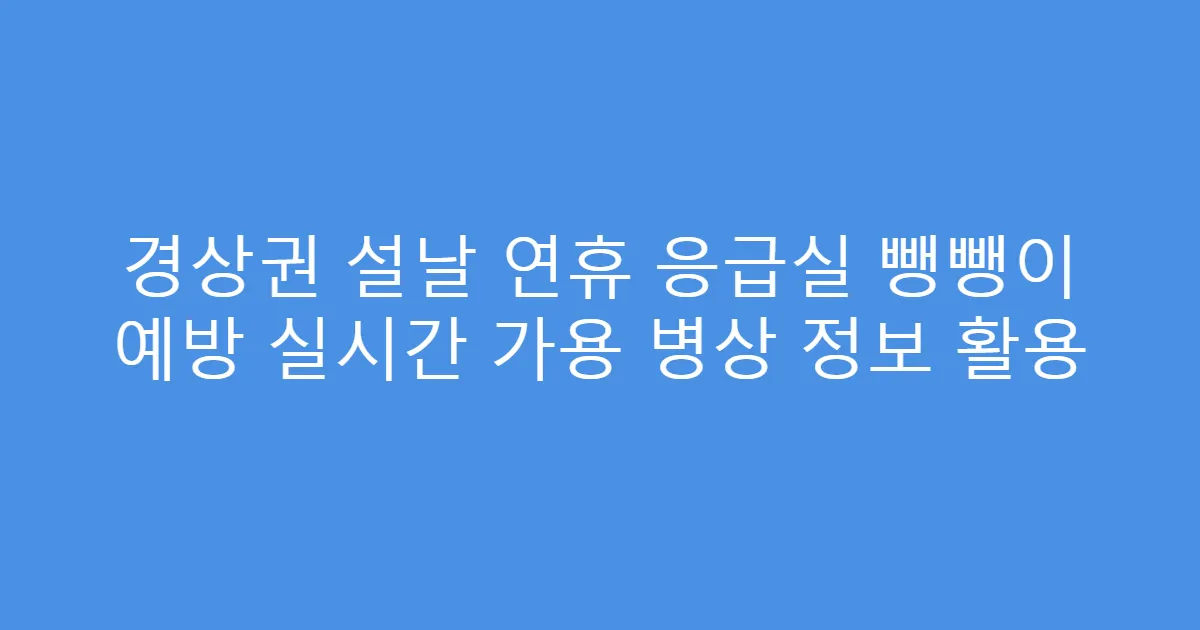 경상권 설날 연휴 응급실 뺑뺑이 예방 실시간 가용 병상 정보 활용