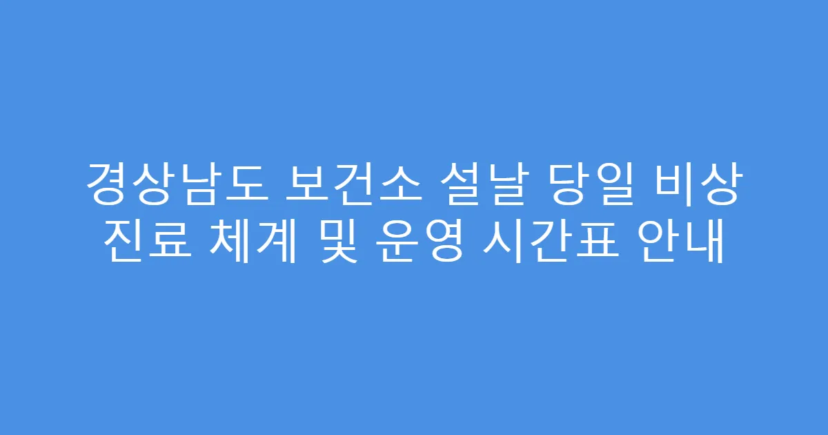 경상남도 보건소 설날 당일 비상 진료 체계 및 운영 시간표 안내