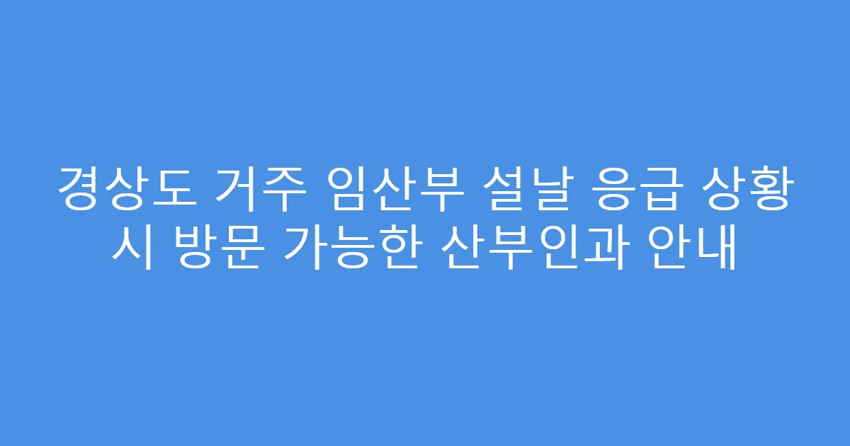 경상도 거주 임산부 설날 응급 상황 시 방문 가능한 산부인과 안내