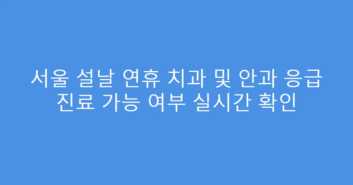 서울 설날 연휴 치과 및 안과 응급 진료 가능 여부 실시간 확인