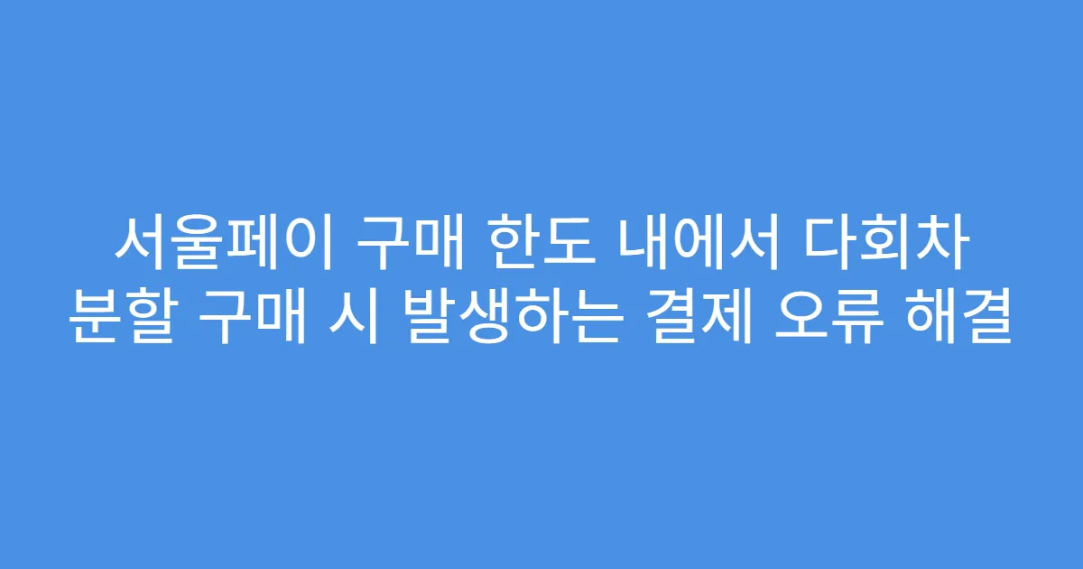 서울페이 구매 한도 내에서 다회차 분할 구매 시 발생하는 결제 오류 해결