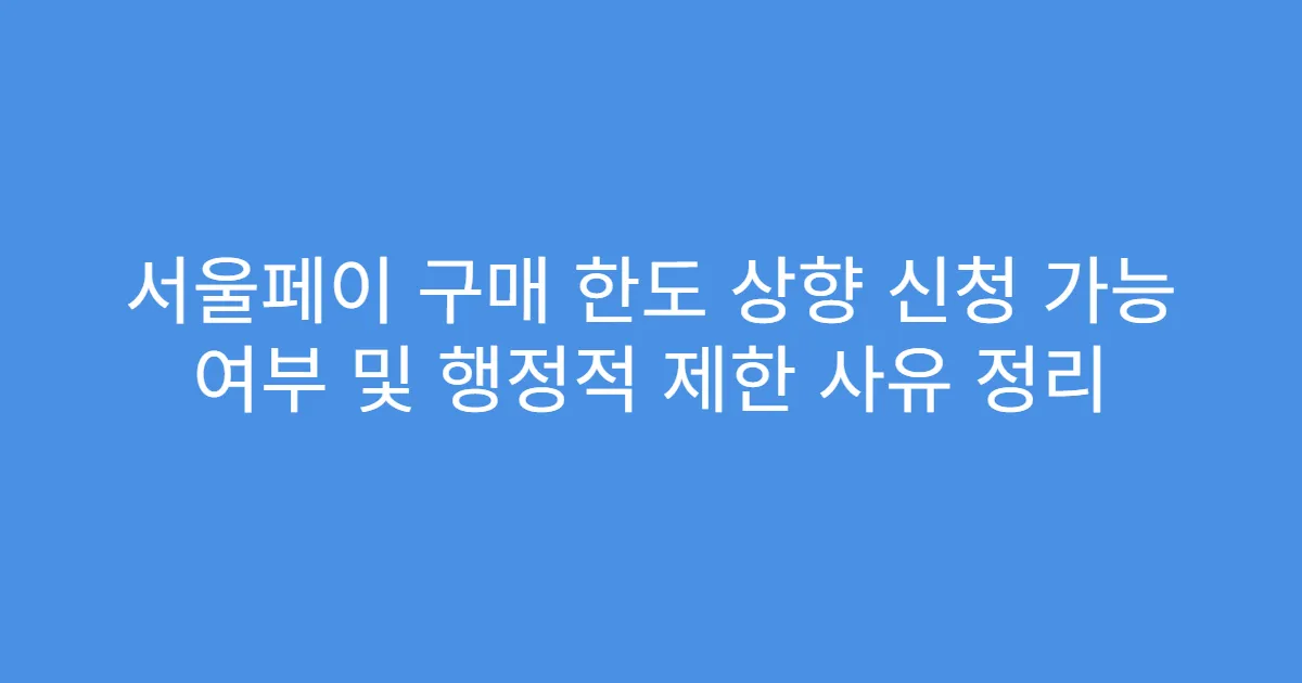 서울페이 구매 한도 상향 신청 가능 여부 및 행정적 제한 사유 정리