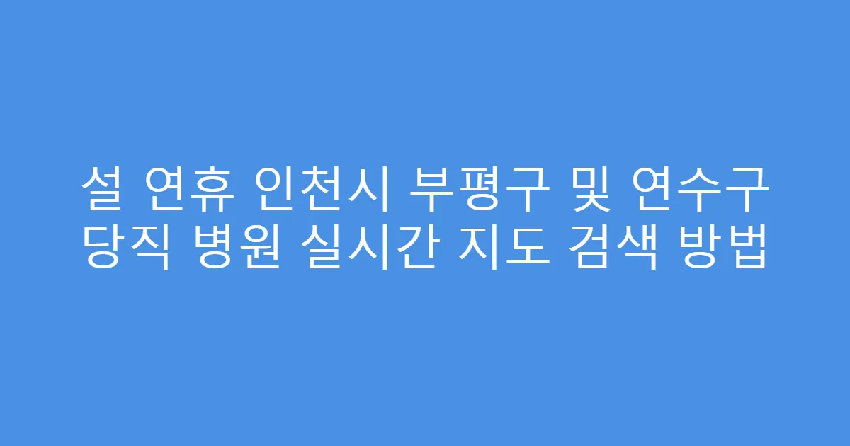 설 연휴 인천시 부평구 및 연수구 당직 병원 실시간 지도 검색 방법