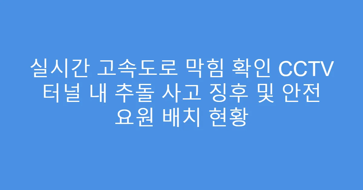 실시간 고속도로 막힘 확인 CCTV 터널 내 추돌 사고 징후 및 안전 요원 배치 현황