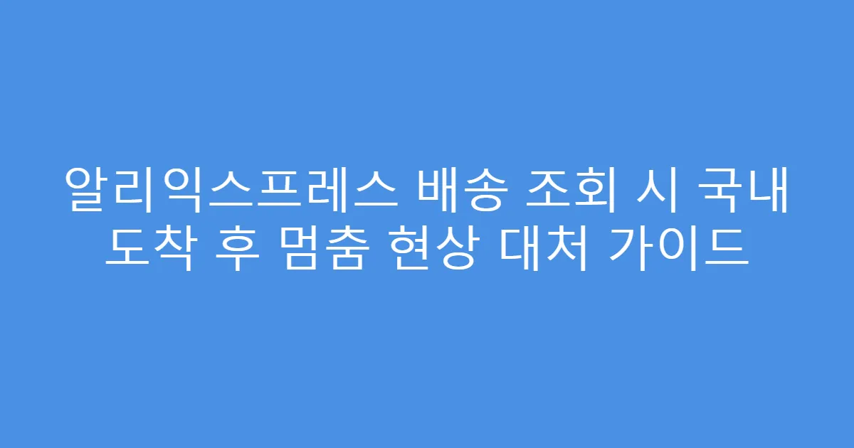 알리익스프레스 배송 조회 시 국내 도착 후 멈춤 현상 대처 가이드