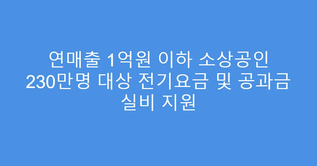 연매출 1억원 이하 소상공인 230만명 대상 전기요금 및 공과금 실비 지원