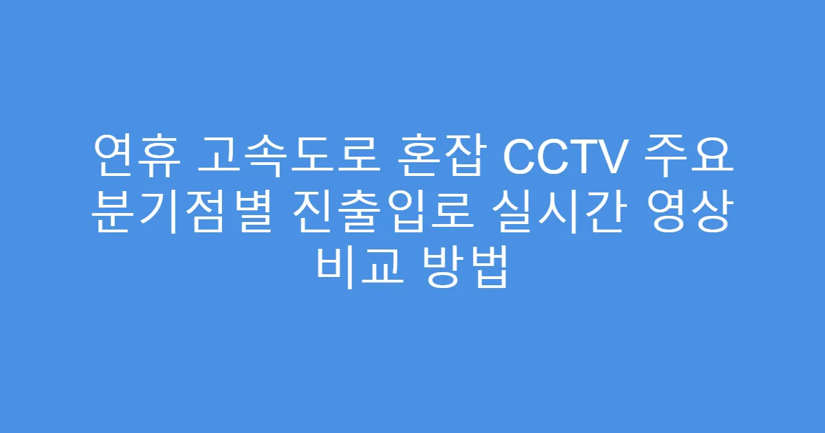 연휴 고속도로 혼잡 CCTV 주요 분기점별 진출입로 실시간 영상 비교 방법